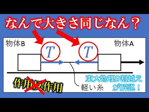 【ワンポイント解説①】意外と盲点！糸の両端の張力はなぜ同じ？？　東大物理学科卒が徹底解説！