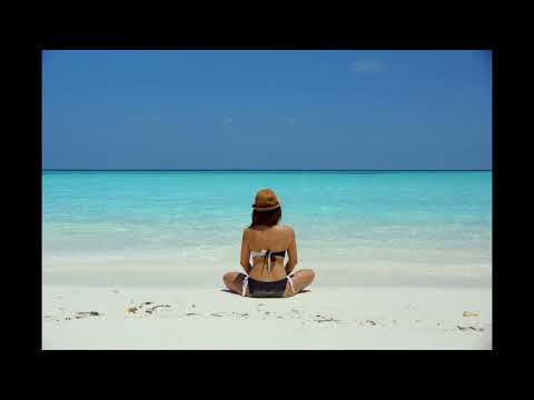 🎼🎵 Soothing Relaxation | Zoho Music | Beautiful Relaxing Music |