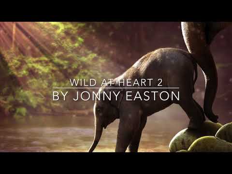 Wild at Heart 2 - Royalty Free - Wildlife Cinematic Background Music