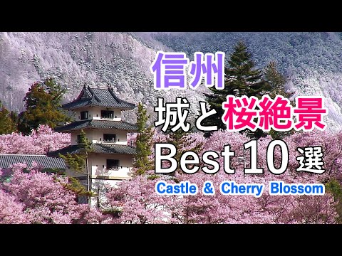 Top 10 Best Castle and Cherry Blossom in Nagano, Japan