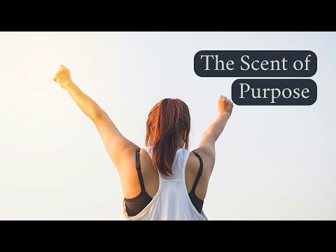 How We Sense Purpose (or don't)