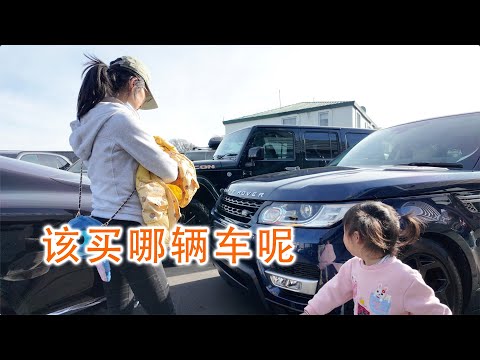 该买哪辆车呢？(新西兰 Harold Vlog 864)