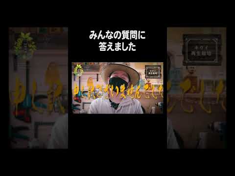 キウイ動画の皆からのコメントに答えてみた #shorts