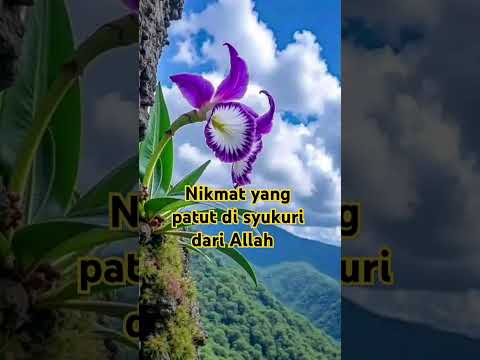 Nikmat yang wajib di syukuri #motivasi #uah #motivation #quotes #shortsvideo #shorts #youtubeshorts