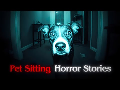 3 Really Scary TRUE Pet Sitting Horror Stories