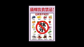 🌟猫咪不能吃的30种食物🚫乱吃要猫命❗️