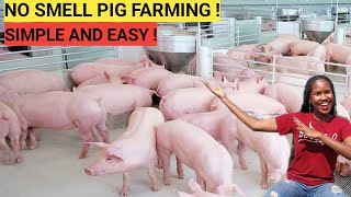 How To START A PIG FARM Business As A BEGINNER! ( DETAILED )| 2023