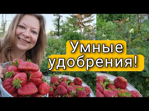 Это Удобрение Вносят Один Раз! Умные Удобрения | Светлана Самойлова