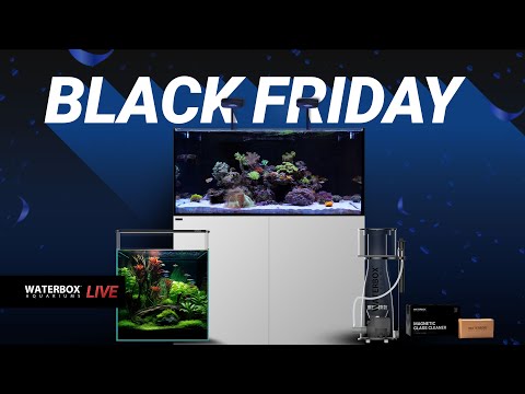 Black Friday Sales Announcement.