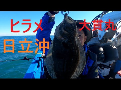 ヒラメ釣り 船釣り 日立沖 in大貫丸 12月解禁 ヒラメ釣り 今釣りチャンネル 旬の高級魚ヒラメを狙って日立沖へ！！