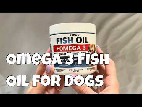 Taking my Omega 3, I wanted my dog to get it too