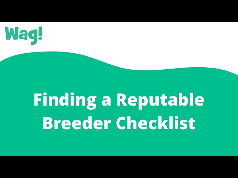 Finding a Reputable Breeder Checklist | Wag!