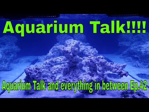 Aquarium Talk