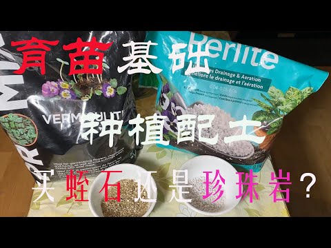 【渔耕笔记】种菜育苗 | 自配土该买蛭石还是珍珠岩？Perlite Vs Vermiculite