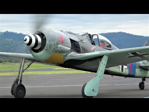 Focke Wulf Fw-190 ‘Butcher Bird’  Warbirds Over Scone