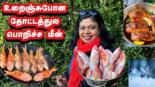 🐠❄️கடும் குளிர்ல கஷ்டப்படறோம் என்ன செய்யறதுனே தெரியல!/ தோட்டத்துல பொறிச்ச மீன்/winter fish fry