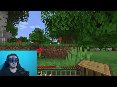 Blindfolded Minecraft run part 1