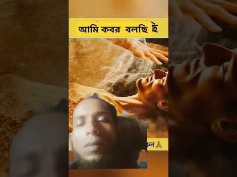 আমি কবর বলছি #motivation #video #funny #cat