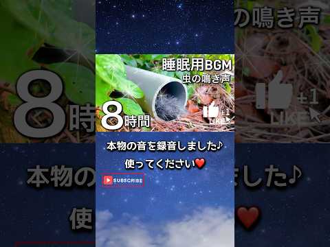 【睡眠用BGM】晩夏の虫の声 #睡眠用BGM #虫の鳴き声 #shorts