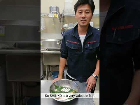 E7【Konoshiro】 TSUKIJI FISH MARKET Inc by 市場系youtuber疋田拓也Takuya Hikita～本気の目利きシリーズ12～