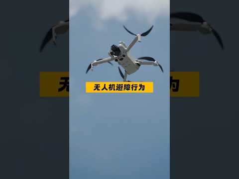 大疆无人机避障行为 #大疆无人机 #dji #drone #无人机 #djimini4pro #DJIAIR3 #djiair3s