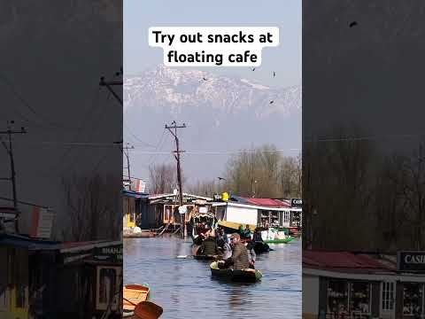 7 Things To Do In Dal Lake | Kashmir Diaries | Dal Lake #kashmir