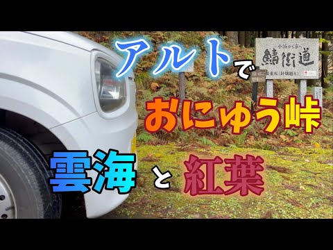 【アルトバン】おにゅう峠の紅葉と雲海　｜HA36｜ALTO｜SUZUKI｜撮影ポイント｜滋賀県｜福井県｜