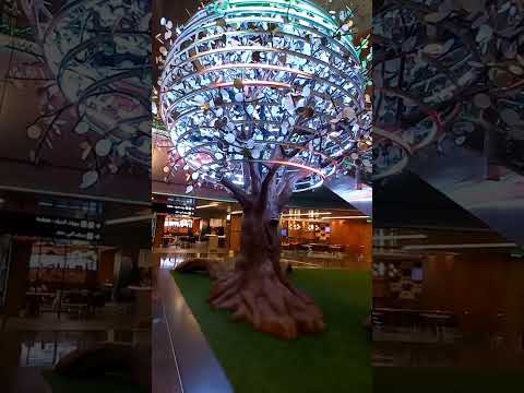 Beautiful tree in Doha Airport..#turkey #travel #holidays #dohaairport #beautiful