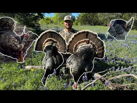 Turkey Hunting Texas Hill Country {catch Clean Cook} Turkey GIZZARDS