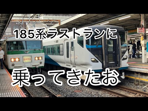 【ラストラン】185系ラストラン臨時特急谷川岳もぐらに乗ってきた