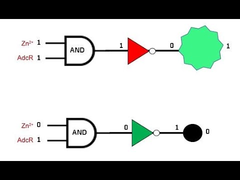 (G9)  Riboswitches and Light-up Aptamers as Biosensors.