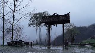 雨雾山居。#guqin #mountainlife #wudang #古琴 #山居生活  #武当山