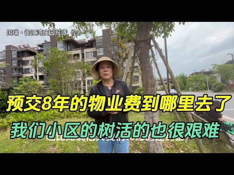 预交8年的物业费去哪里了？我们活的很累，小区树也活的很艰难