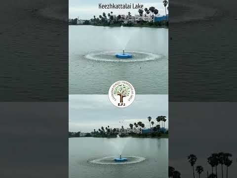 Keezhkattalai Lake - Restoration efforts by E.F.I #shorts