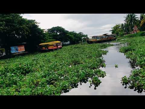 Alappuzha Travel Guide: Must-See Attractions | Backwater Tour | Kerala | India | 4K Video