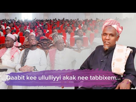 "...Daabit kee ullullutiyyi akak nee yabbixem..." Shekh Acmad Sila