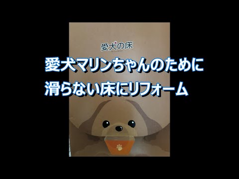 愛犬の床、神奈川県横浜市の業者さんにお願いして、マリンちゃんが滑らないように、家のフローリングをリフォームしてもらいました。