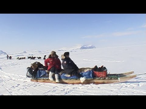 Return with the Inuit to Qikiqtarjuaq by dogsled - Nanoq 2007 expedition