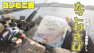 【穴釣り】居酒屋の定番「たこわさび」を餌に釣りすると・・・！？【コンビニ餌シリーズ#2】