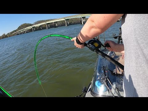 I Thought The Rod Was GOING TO BREAK!! (Biggest ever X2)