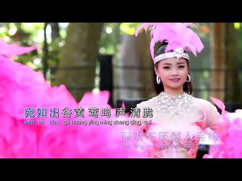 爱情咖啡酒 - 杨庆 2024 新专辑 Vol 13 选曲    词：蔡丹   曲：Louiguy / M.David