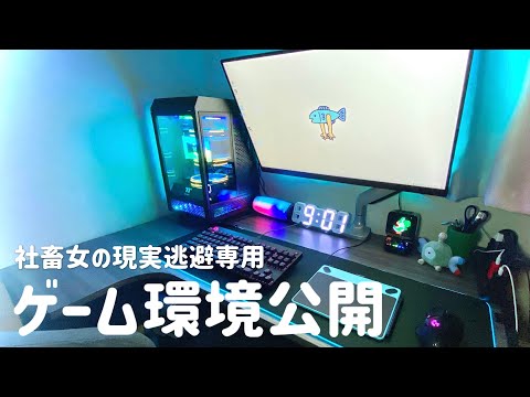 23歳一般女のゲーム環境公開