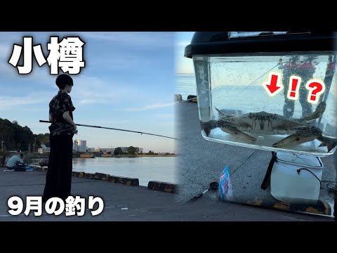 とんでもないものが釣れた日 in小樽