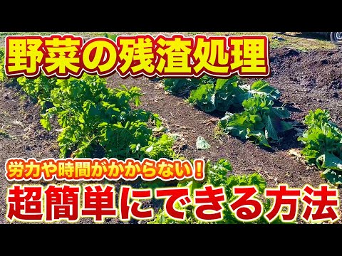 【残渣処理】スコップ１つで超簡単に分解することができます！時間や労力をかけずにできます！