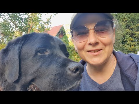 We Bought a Car for Our Dog !!! Autumn Countryside Vlog