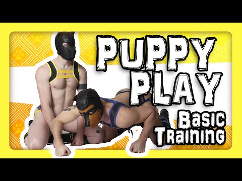 HUMAN PUPS for beginners