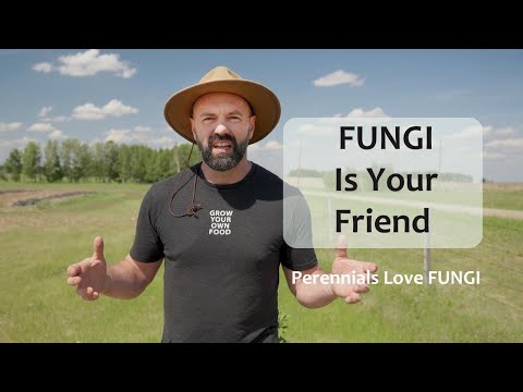 How to Leverage FUNGI to Help Your Perennials Thrive