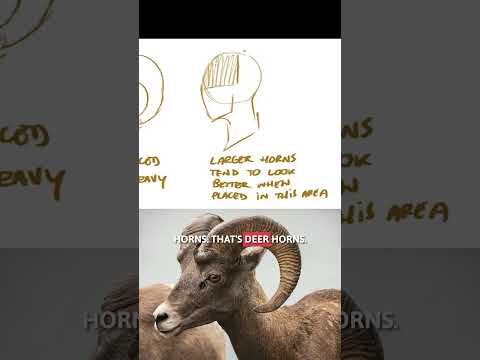 How to Draw HORNS | Mastering Anthropomorphic Characters with Fur-tastic Art Tips