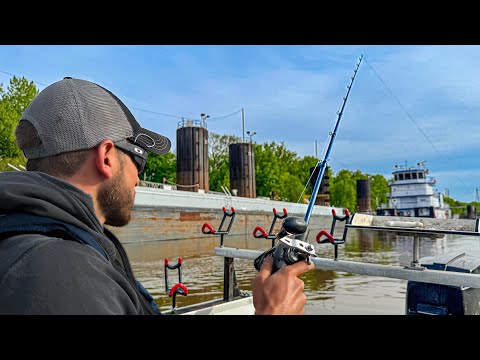 Fishing Around Barges For Monster Catfish | BIG FISH CAUGHT