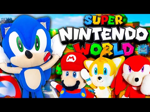 Sonic Goes to Super Nintendo World! - Sonic and Friends